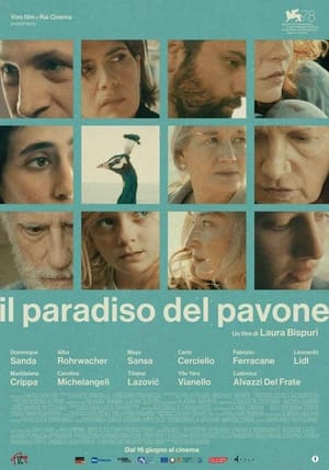 Il paradiso del pavone