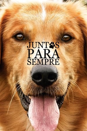 Juntos Para Sempre